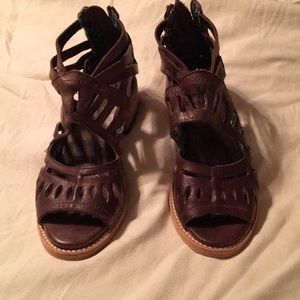 Freebird by Steven “Pounce” Brown